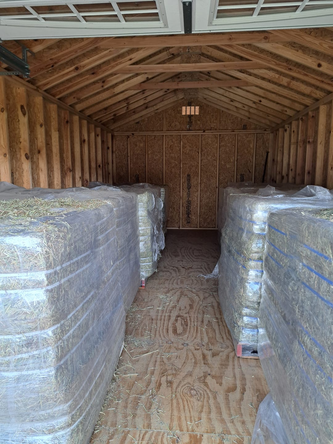 Customer photo review of Timothy Orchard Grass Hay 1st Cut (2026 Crop) Grass Hay (Buy More - Save More)(Includes delivery too!)