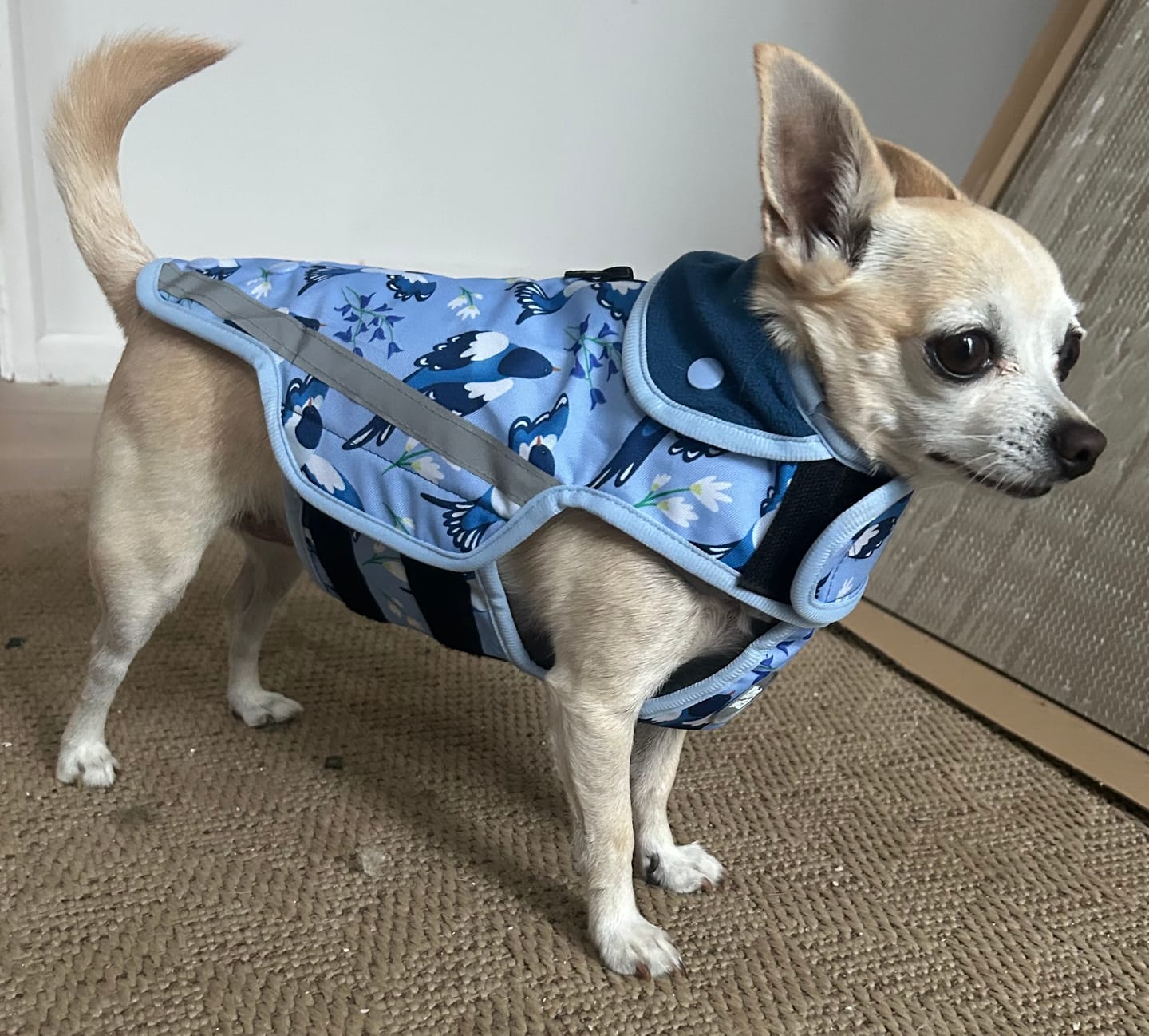 Customer photo review of Rain Jacket - Two For Joy