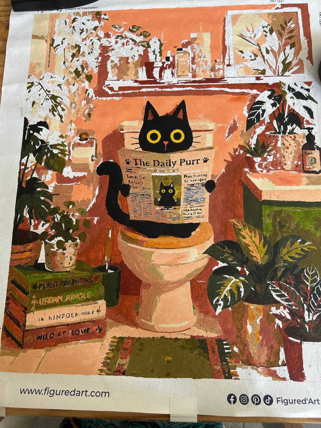 Customer photo review of Gazette des chats