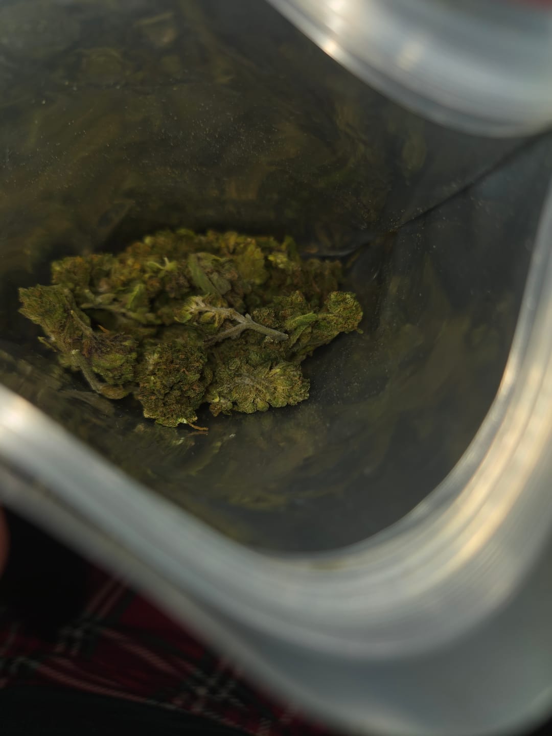 Customer photo review of Puffaroo - Blueberry Headband - 28 Grams - Hybrid