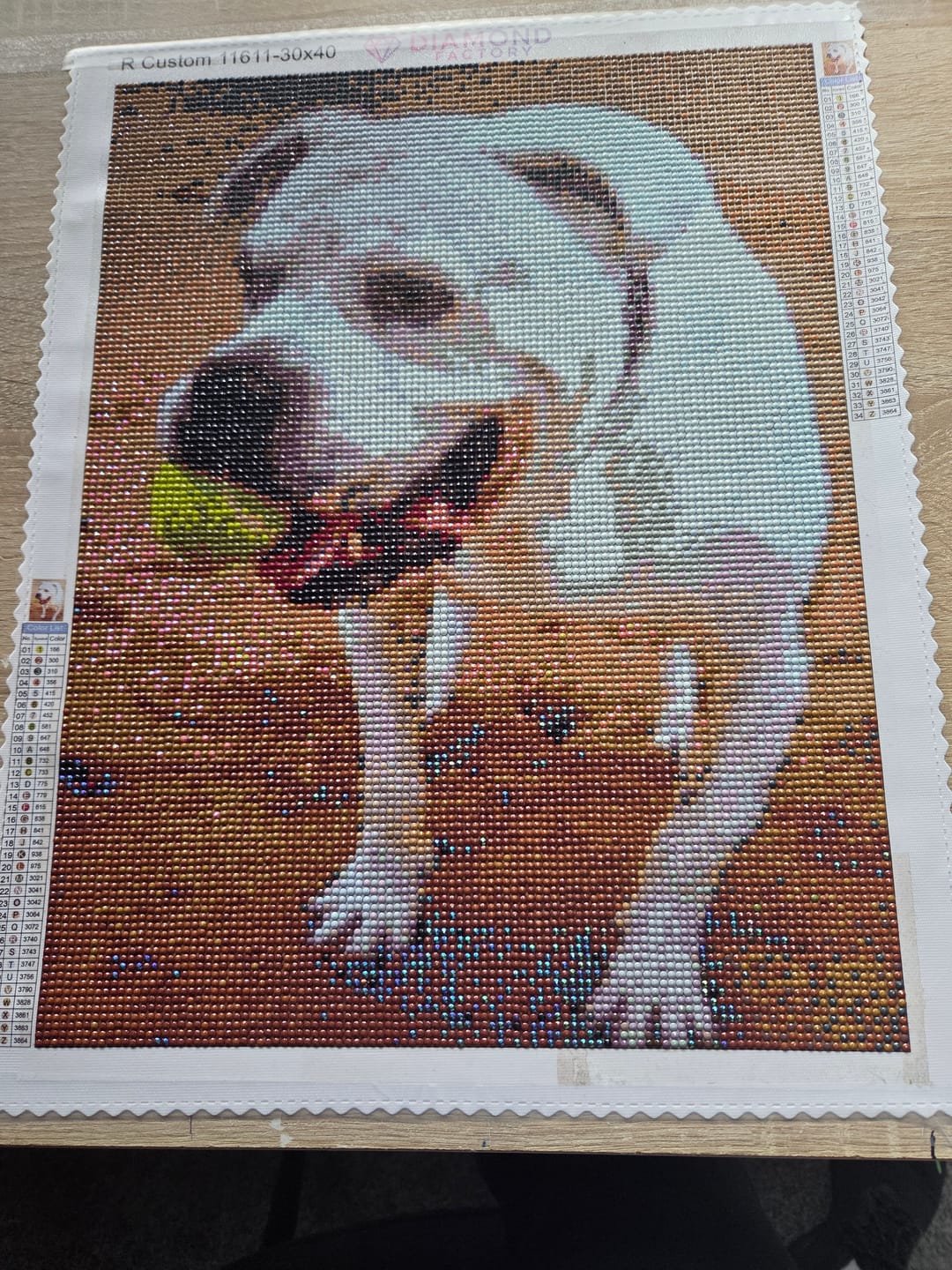 Customer photo review of Custom Diamond Painting Kit