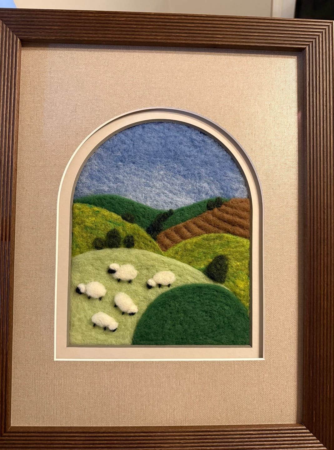 Customer photo review of Grazing Sheep Needle Felting Kit
