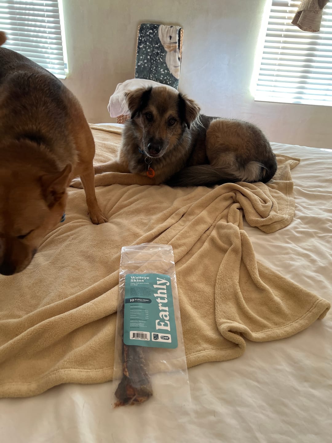 Customer photo review of Walleye Skins