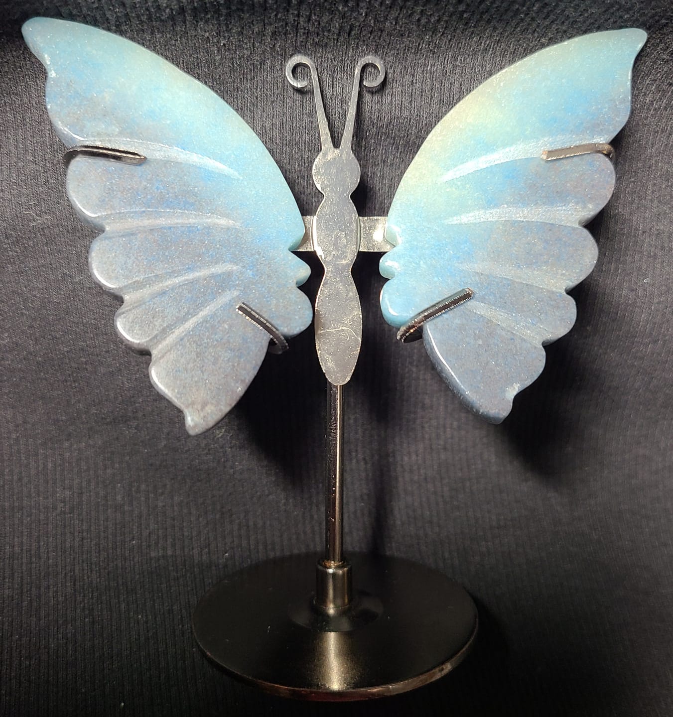 Customer photo review of Unique,Natural Trolleite Butterfly Wings Display