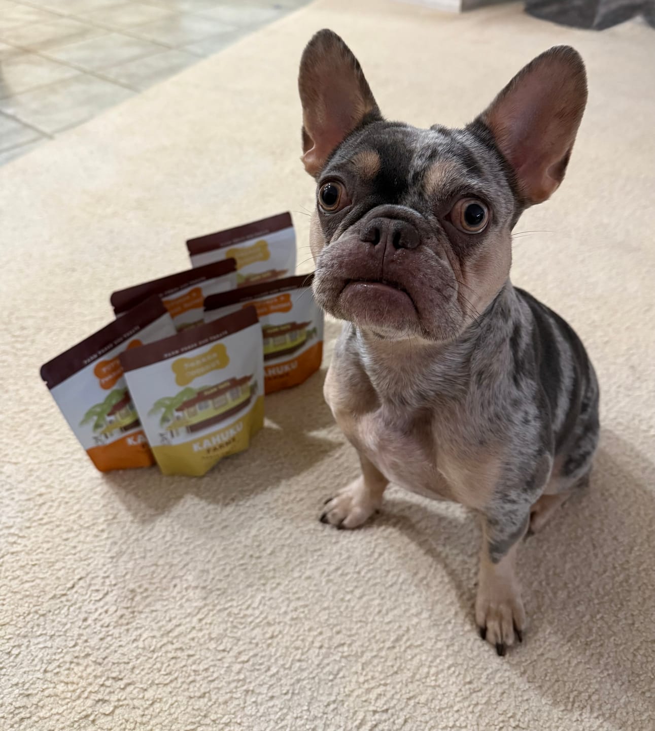 Customer photo review of Banana Coconut Doggie Treats