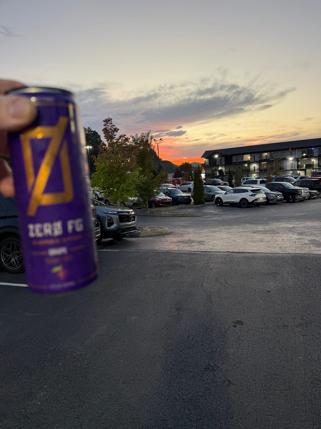 Customer photo review of ZERO FG Energy Drinks (12-Packs)