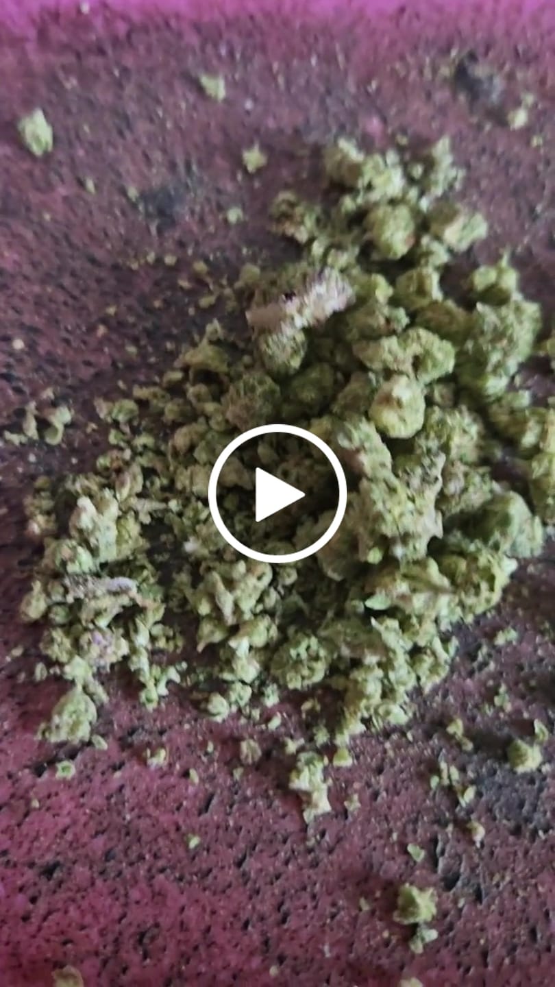 Customer video review of 1 Oz Cheap THCA Small Buds