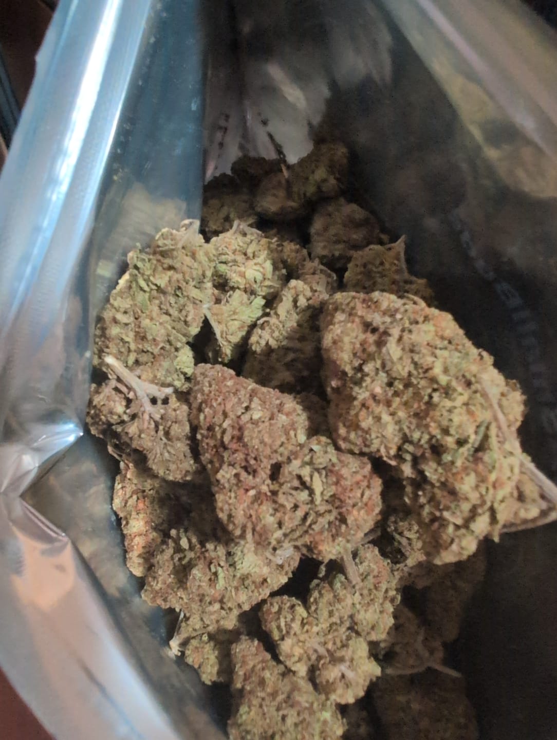 Customer photo review of Snake Venom THCA Flower