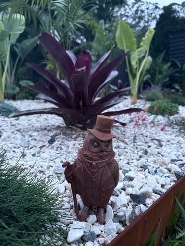 Customer's Professor Hoodwink rust cast iron owl statue with top hat and cane, standing in a rock garden.