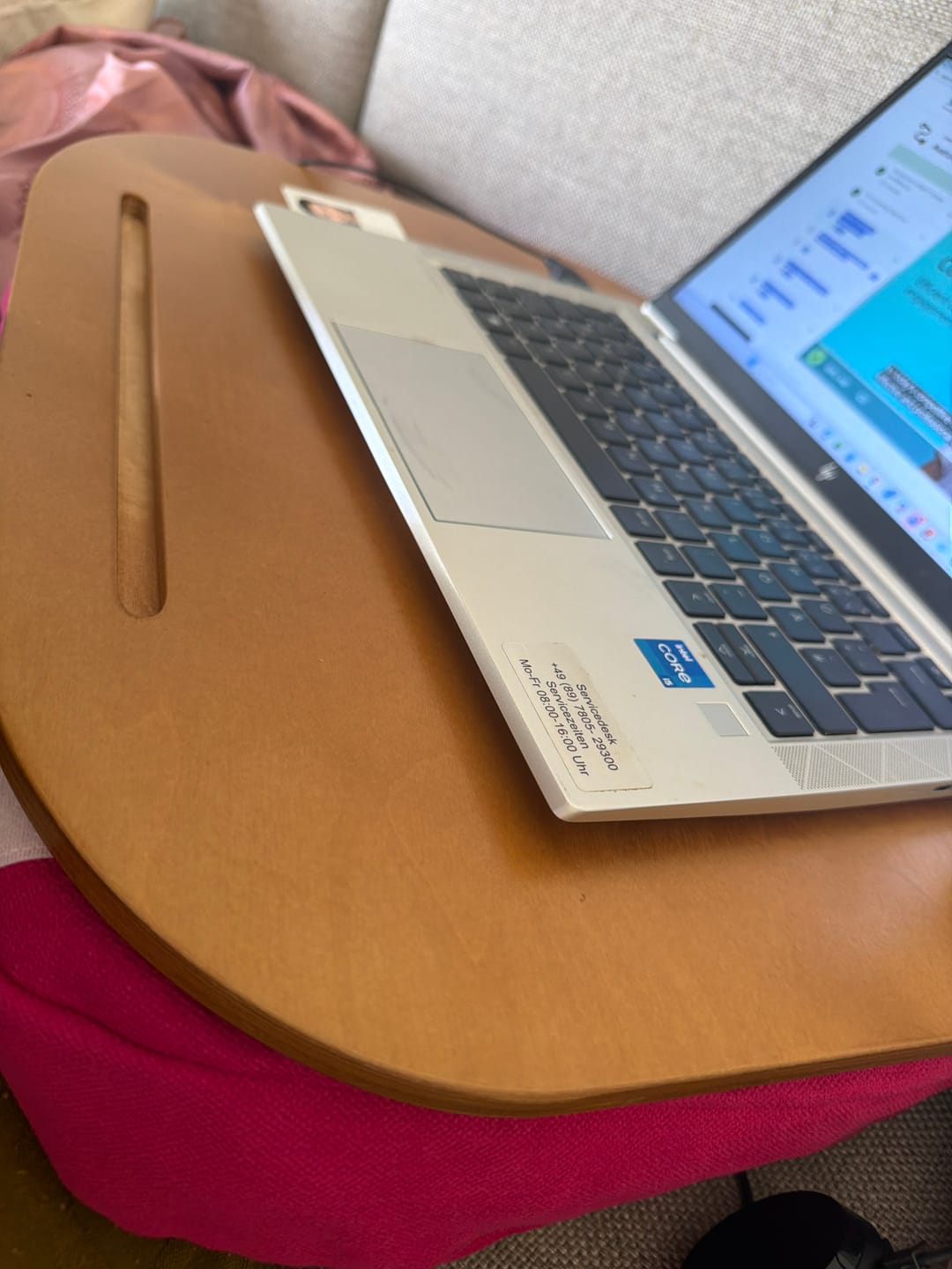 Customer photo review of Lazylap