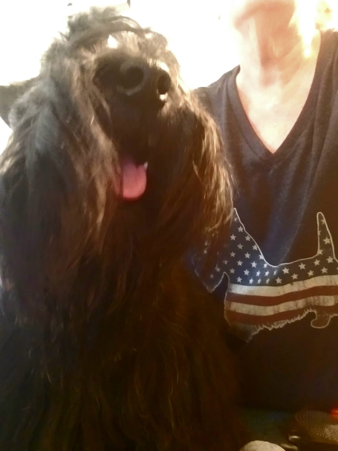 Customer photo review of Scottish Terrier Vintage USA V-Neck Tee