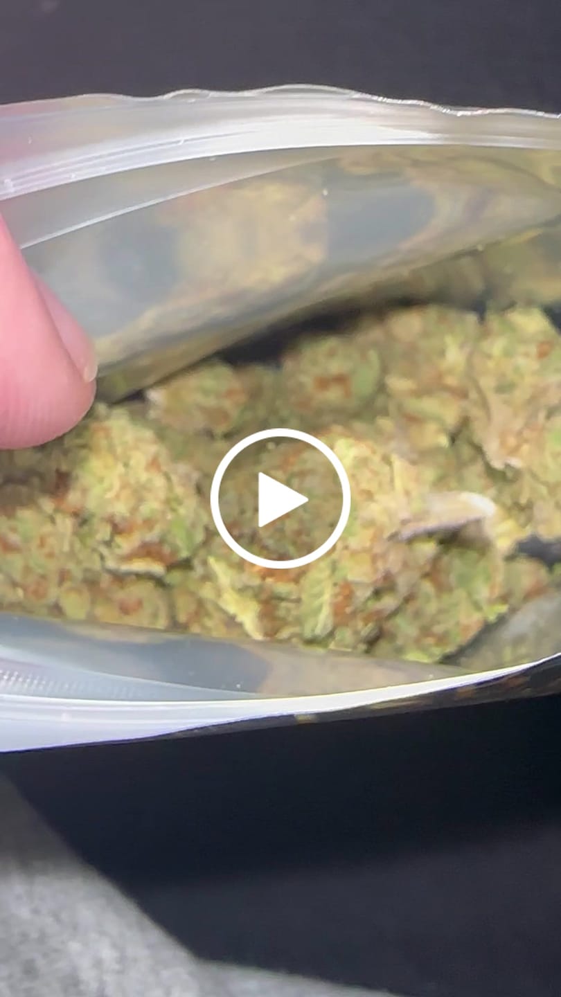 Customer video review of THCA Queen