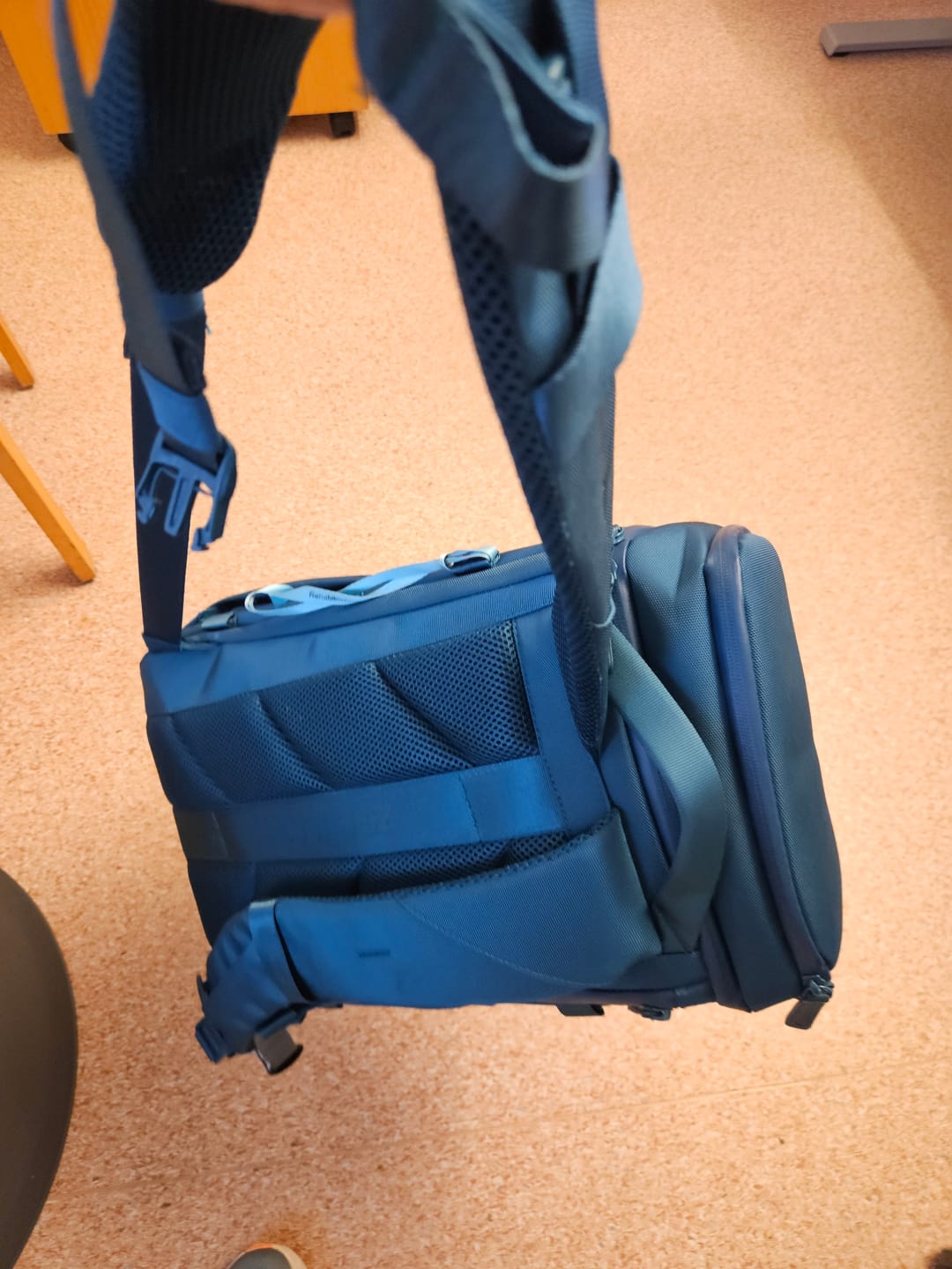 Customer photo review of The Organizer 20L