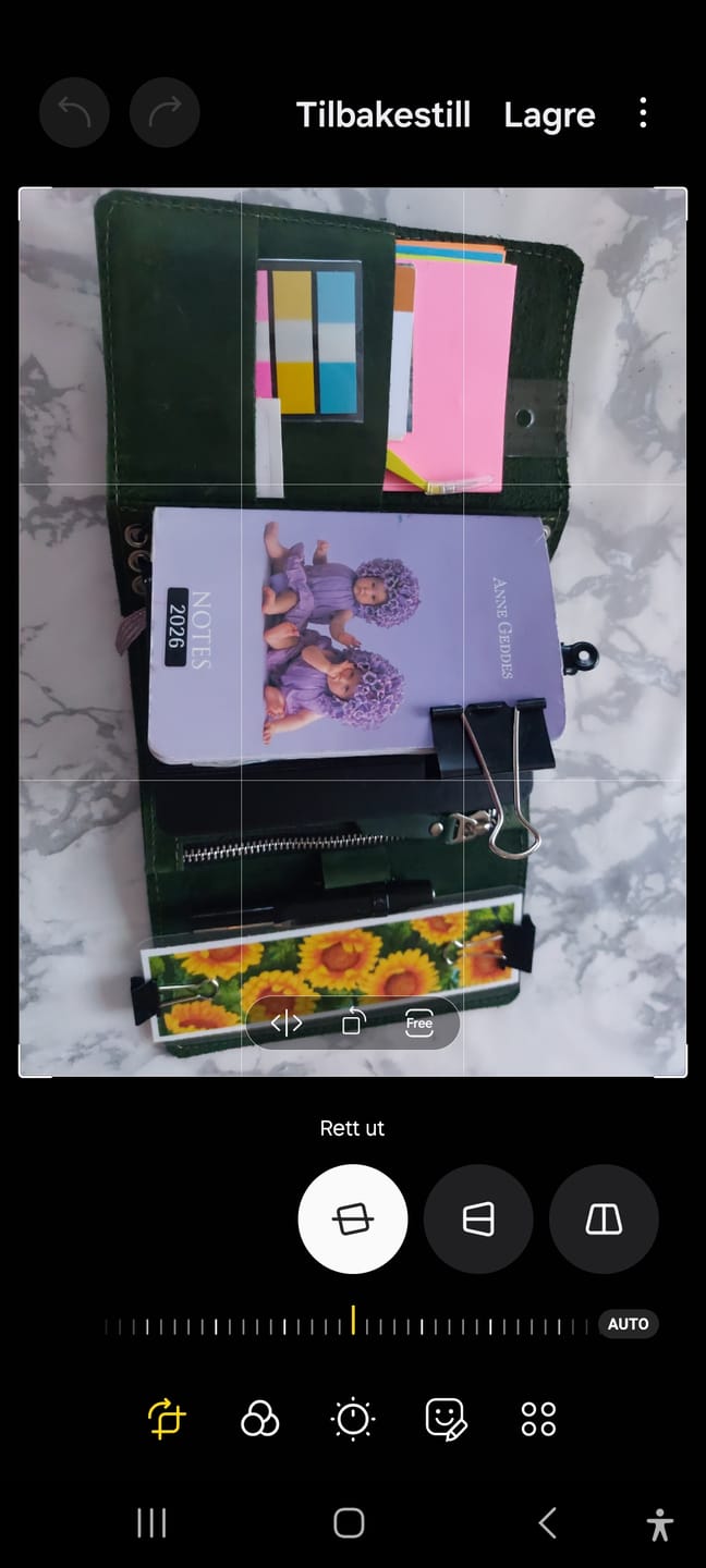Customer photo review of A6 Alpine Journal