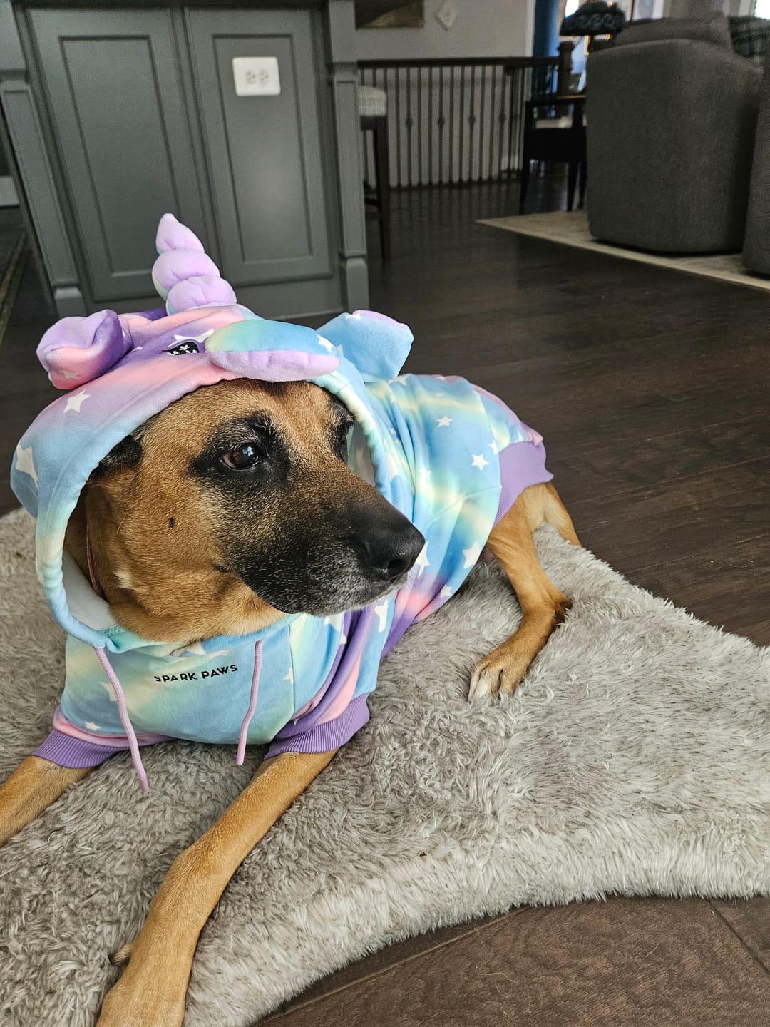 Customer photo review of Halloween Dog Hoodie - Unicorn