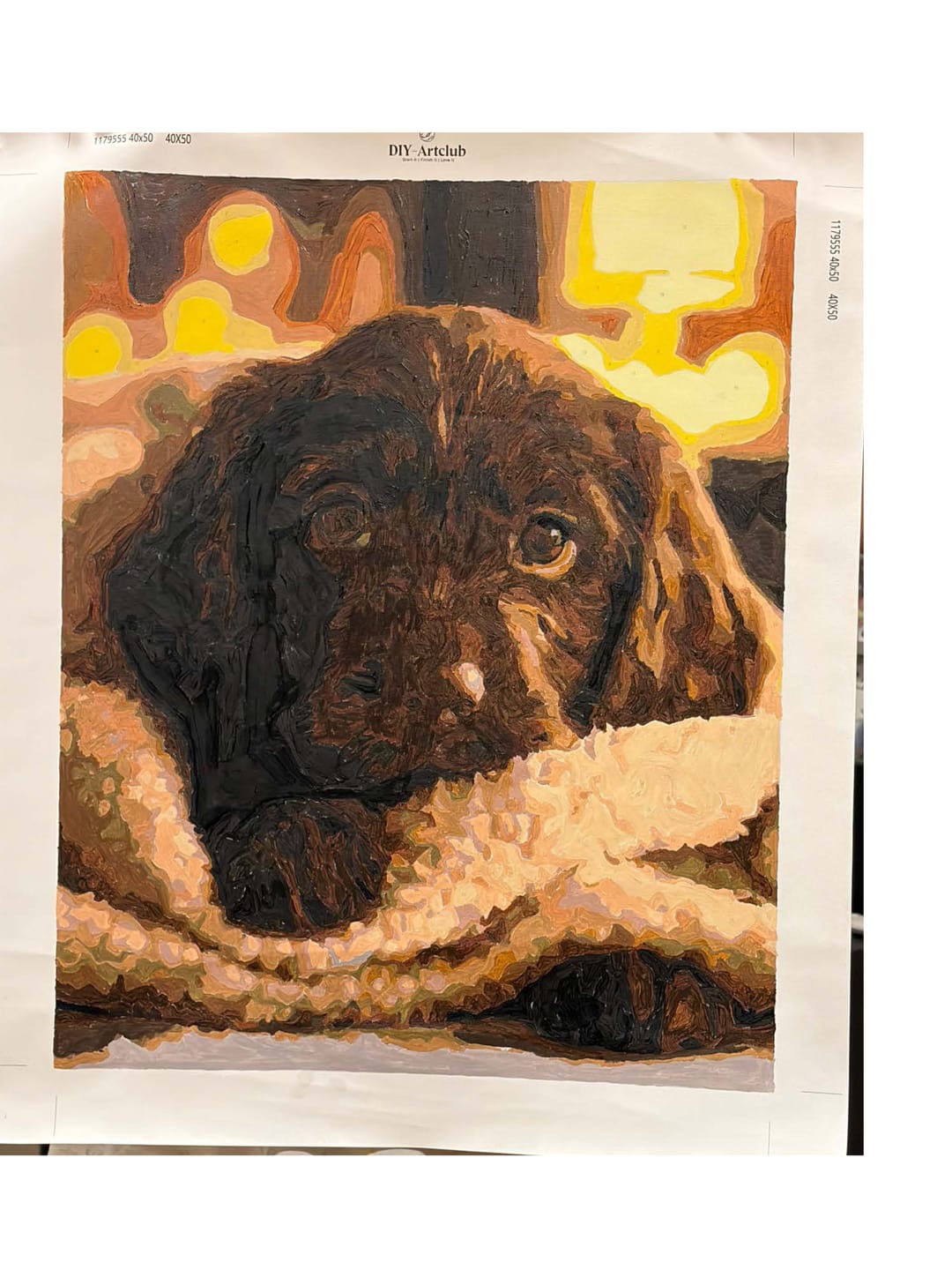 Customer photo review of Chocolate Labrador Pup | Paint by Number