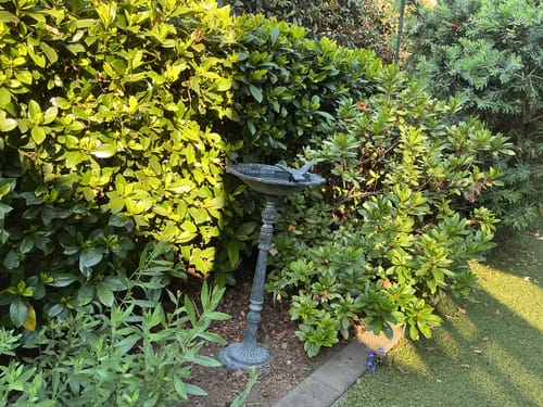 Customer's Willowmere French Provincial cast iron bird feeder in a lush garden setting.