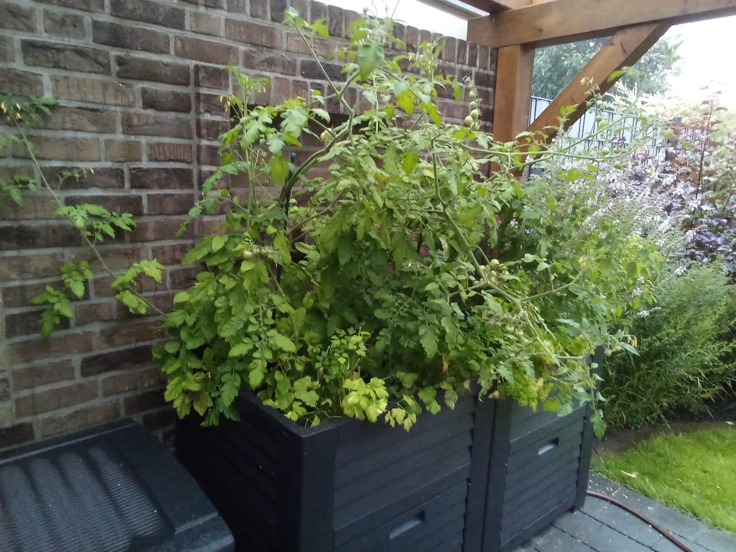Customer photo review of 60 L Floragard Uni Bio Hochbeet Grundfüllung, Hochbeetfüllung, aus heimischen Gehölzen