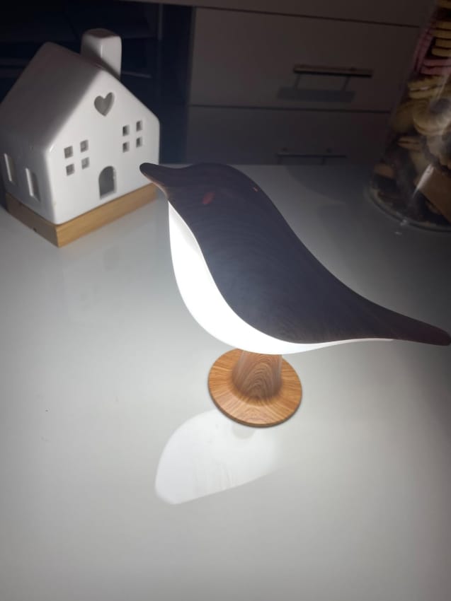 Customer photo review of Bird Table Lamp