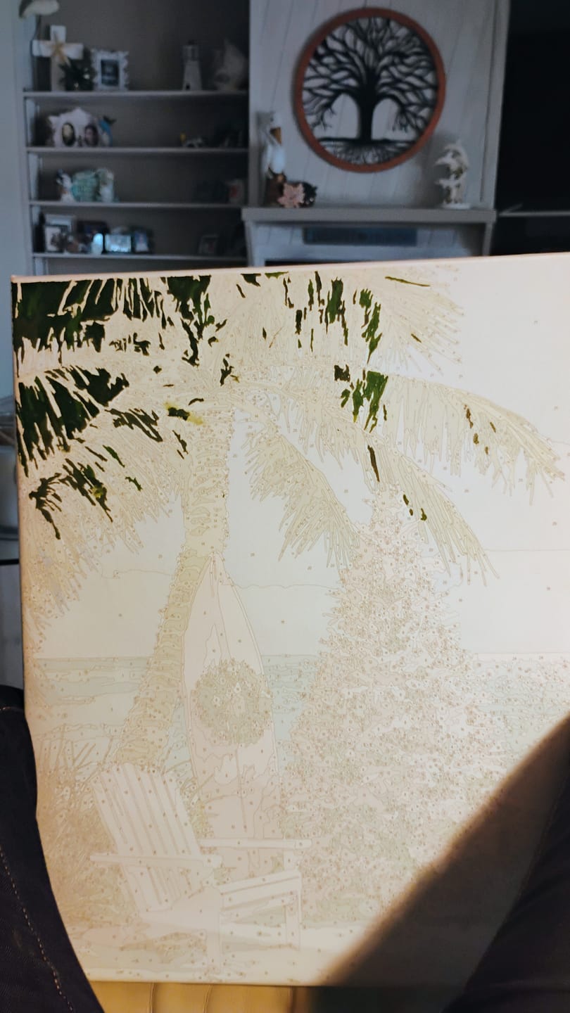 Customer photo review of Christmas in July | Paint by Number