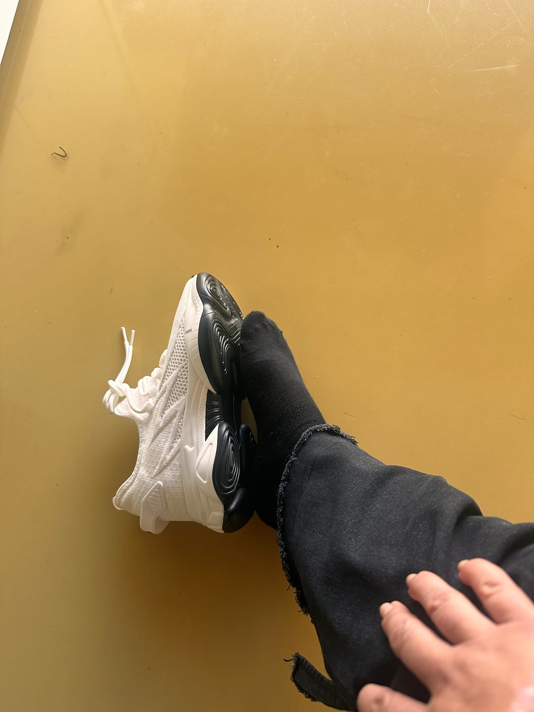 Customer photo review of 4-Layer Adjustable Heel Inserts