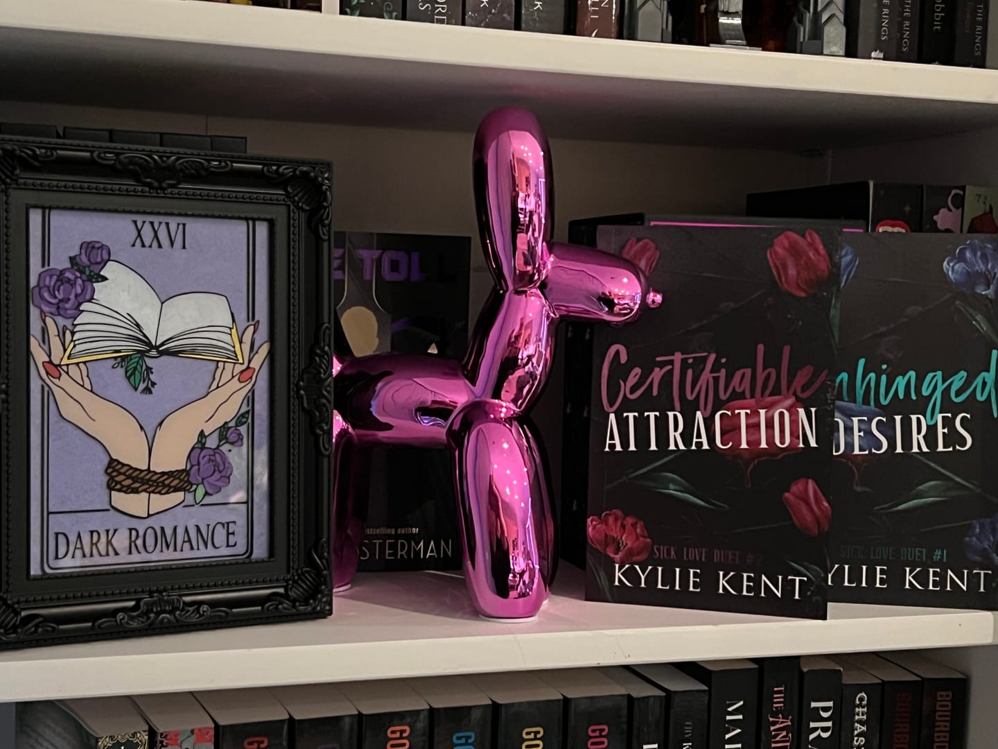 Customer photo review of Sick Love Duet
