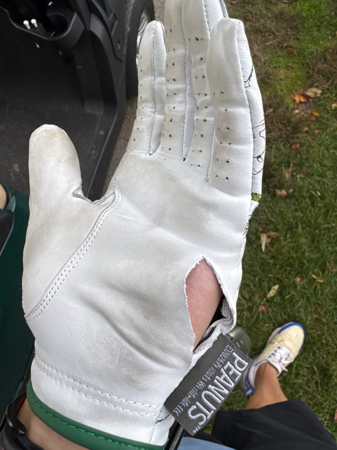 Customer photo review of Peanuts Snoopy Swing Glove
