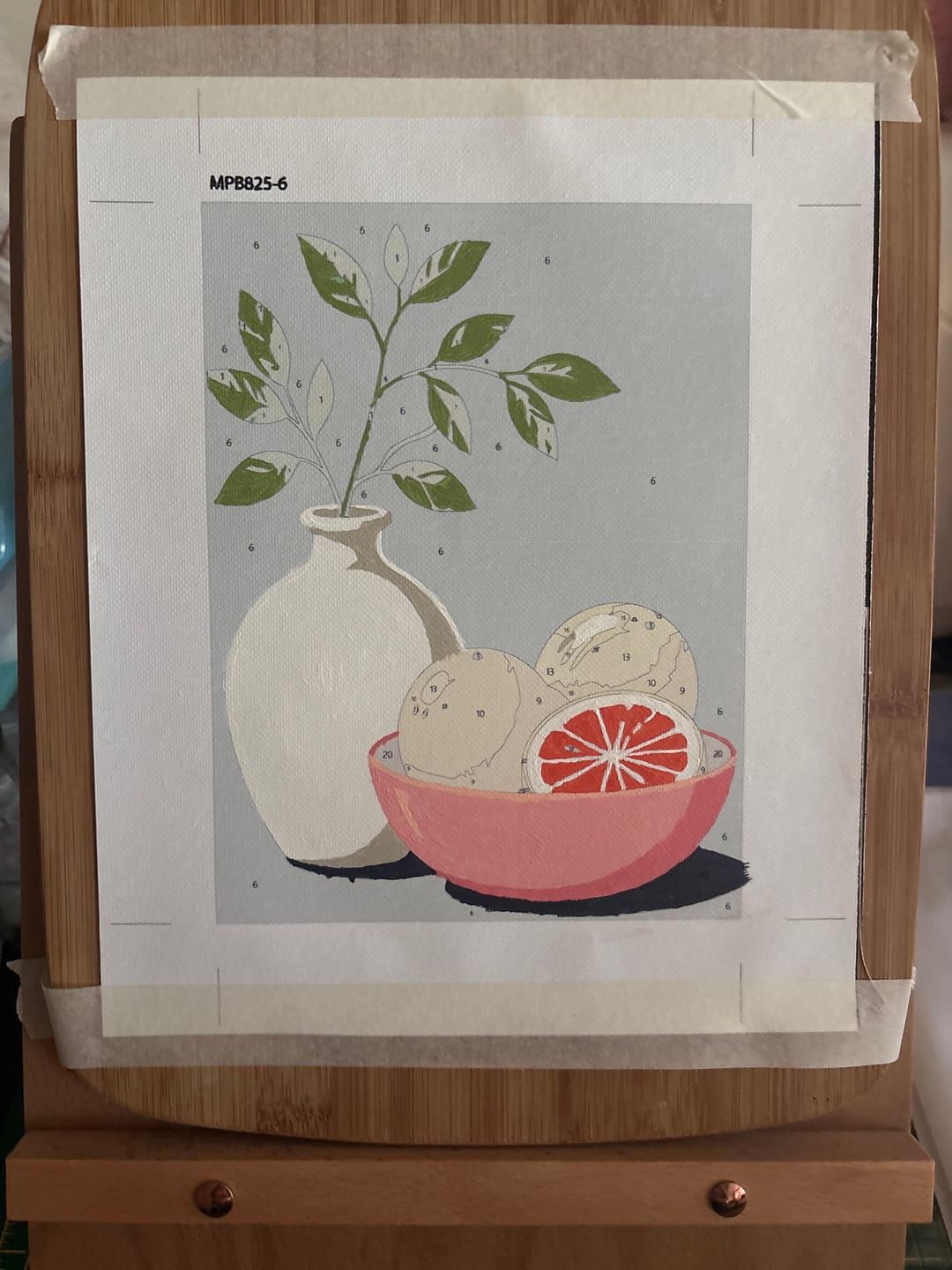 Customer photo review of 6 Mini Paintings - Olive Branch Set