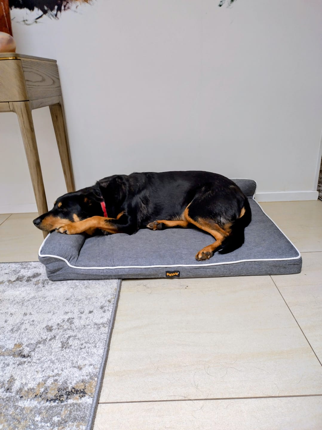 Customer photo review of Orthopedic Pet Bed Memory Foam With Cooling Gel