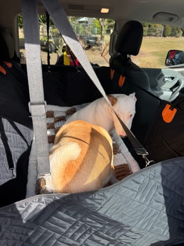 Customer photo review of Pawlow Hard Bottom Seat Cover.