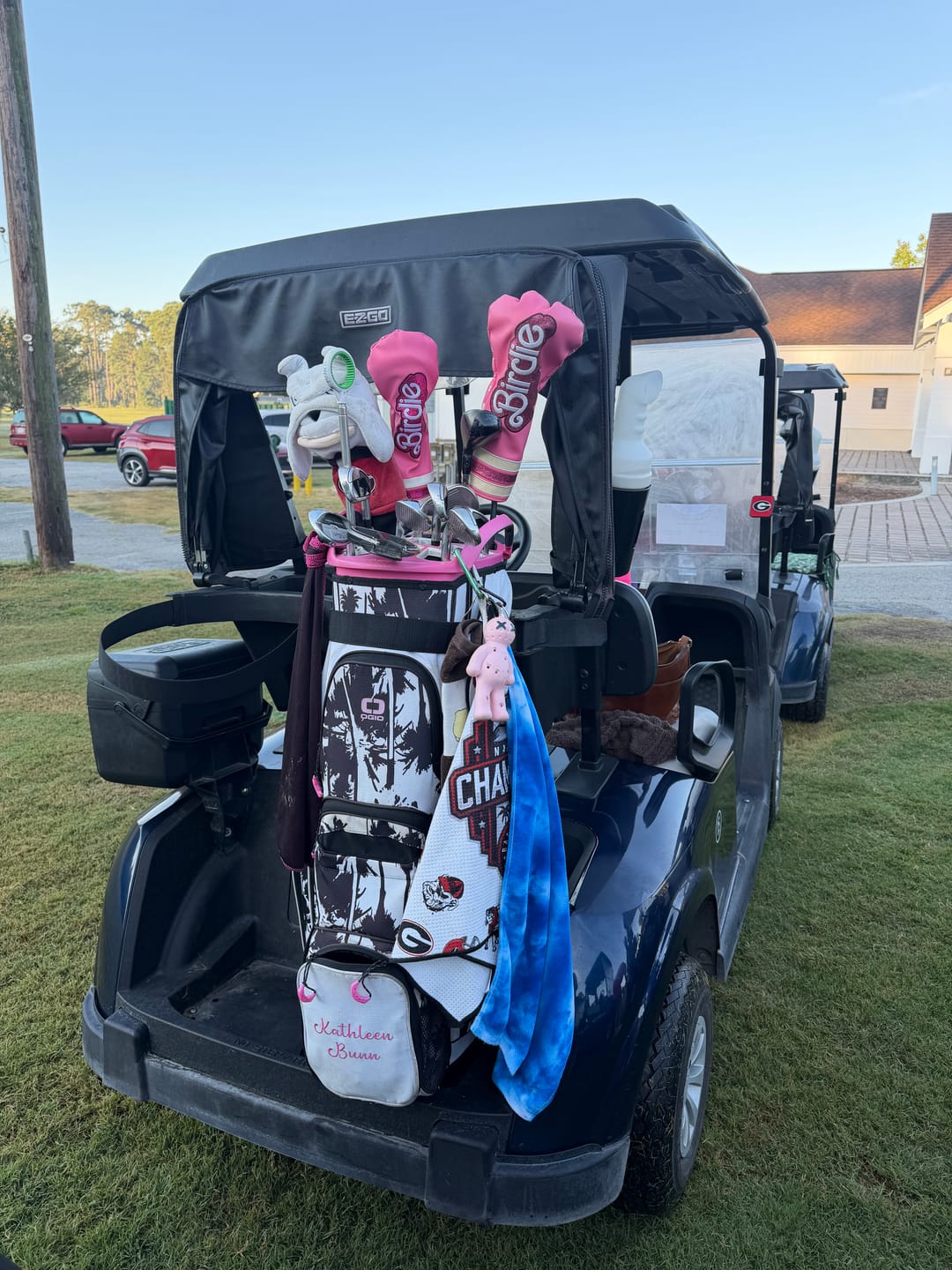 Customer photo review of Birdie Headcover Pink