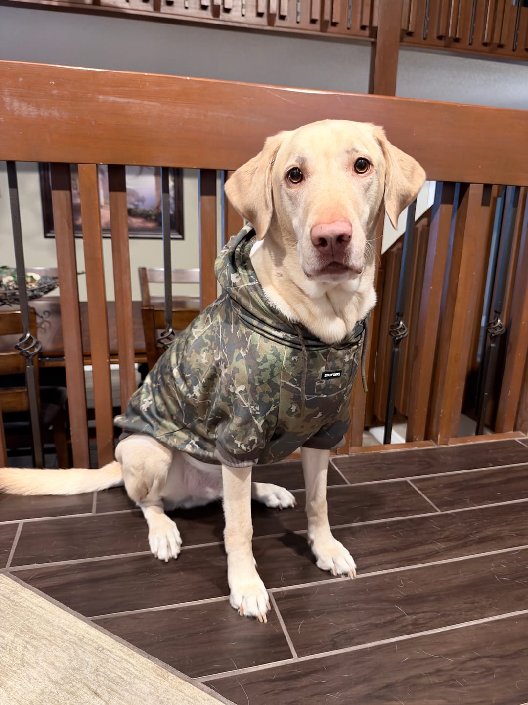 Customer photo review of Camo Dog Hoodies