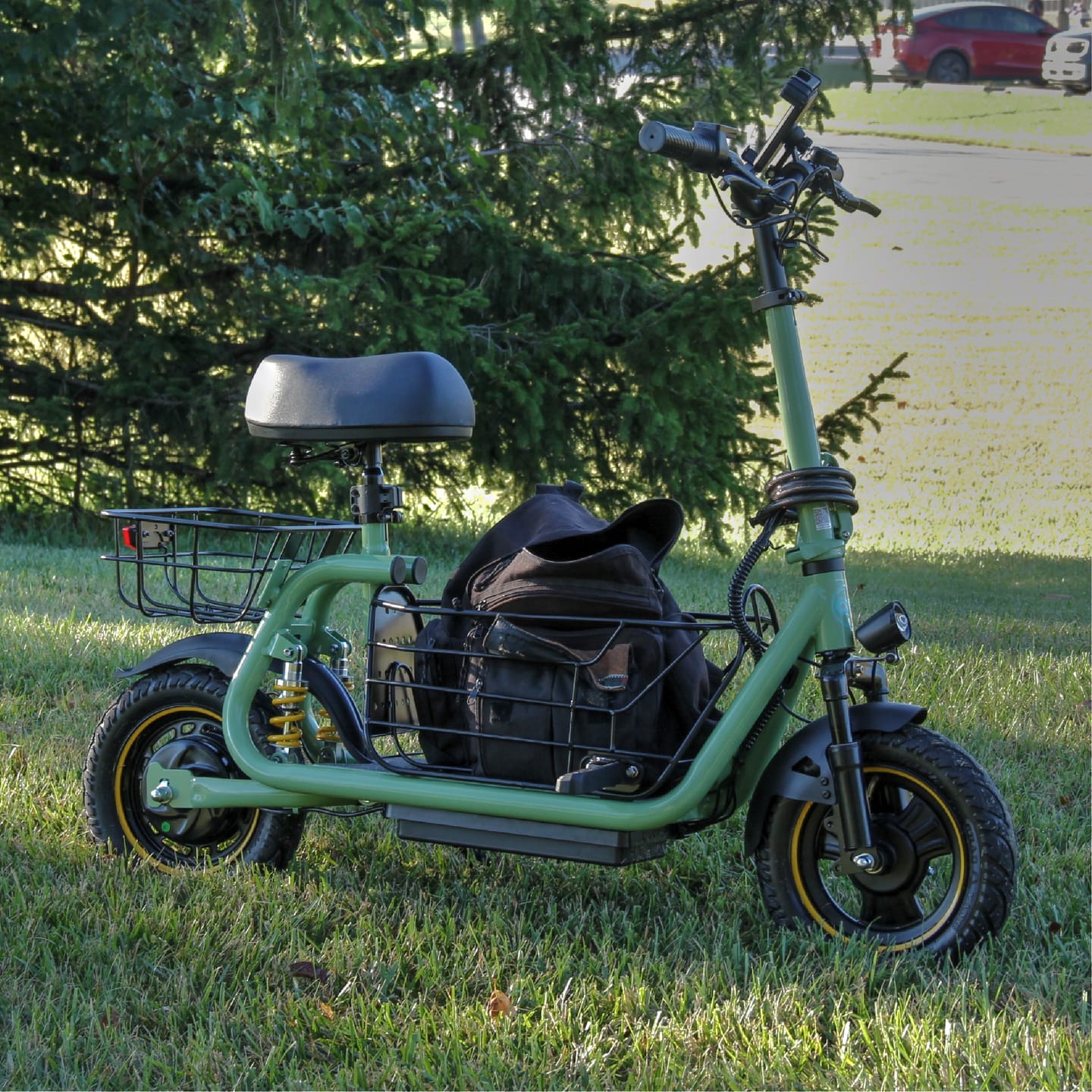 Customer photo review of Gyroor C1Pro 800W(Peak) Foldable Electric Scooter – Dual Baskets for Cargo & Pets