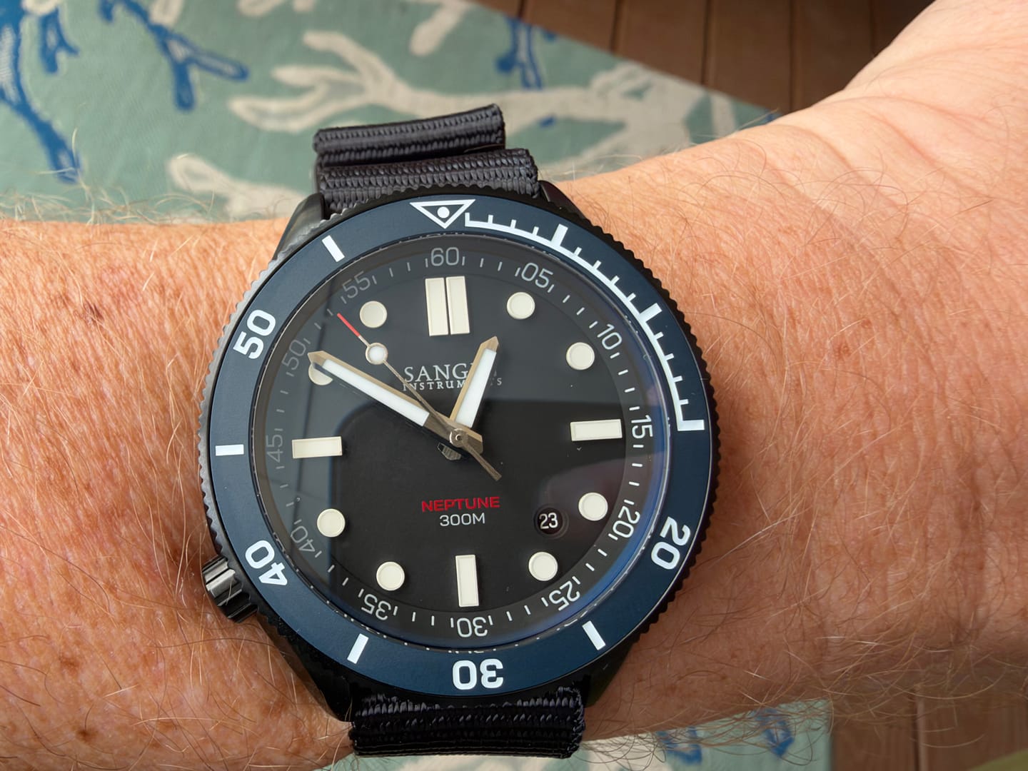 Customer photo review of NEPTUNE (LEO)