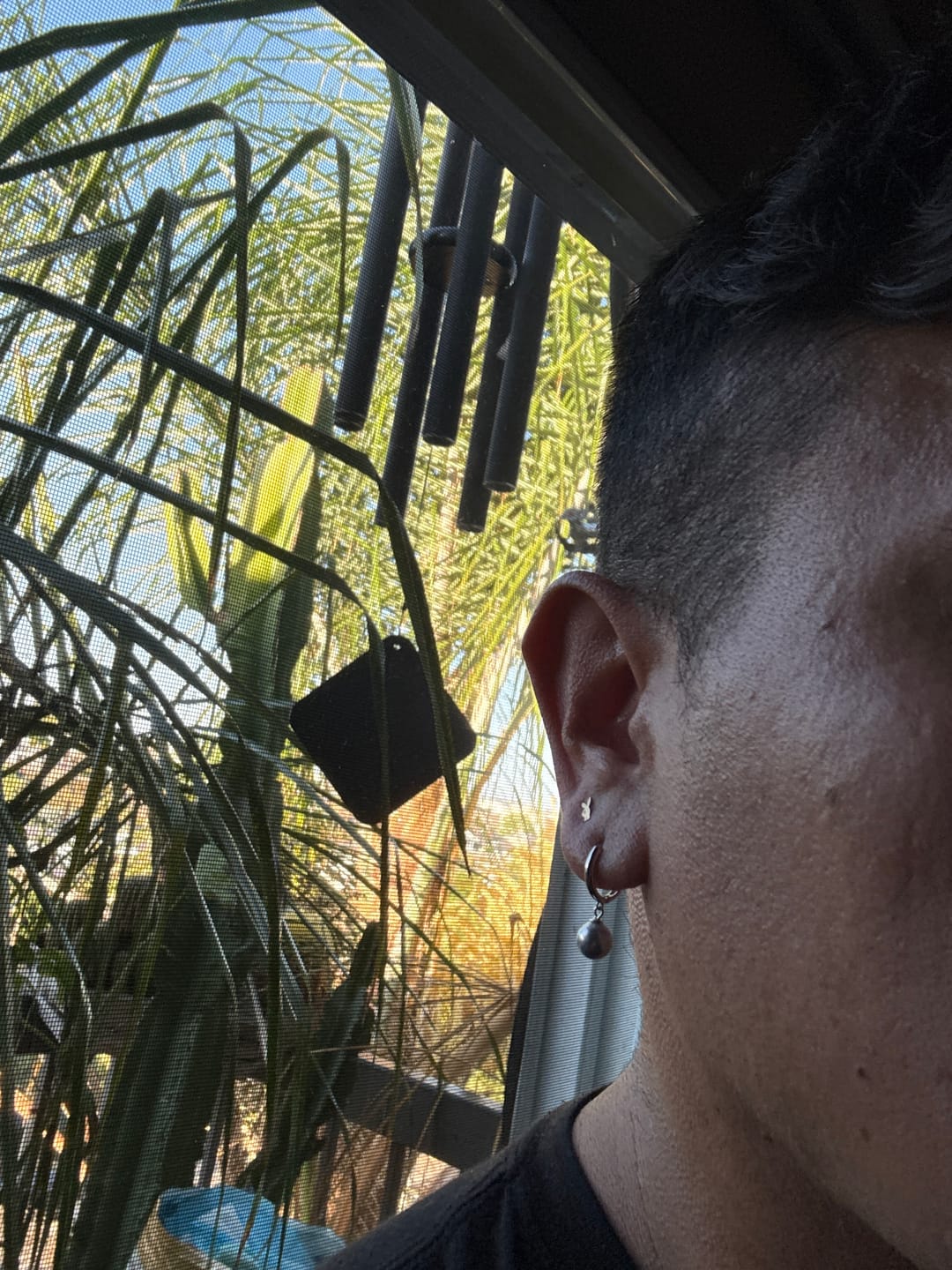 Customer photo review of 7-8mm Silver Blue Japanese Akoya Pearl Hoop Earrings