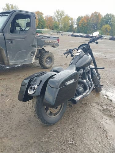 Customer photo review of 42L - Baldur Extra Large Painted Motorcycle Hard Saddlebags for Harley Softail Low Rider S FXLRS
