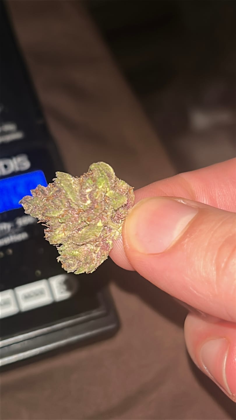 Customer photo review of Tropicana Cherry THCA Flower