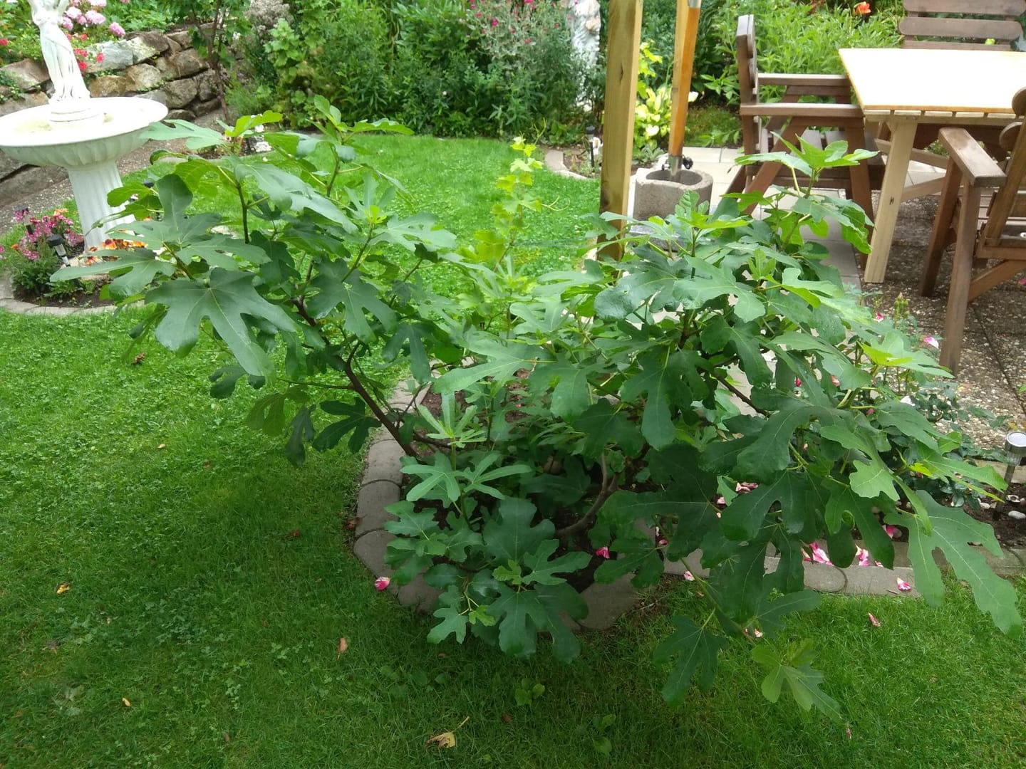 Customer photo review of HaGaFe Pferdedung & Rinderdung, Pferdemist, Rindermist, Organischer Universaldünger