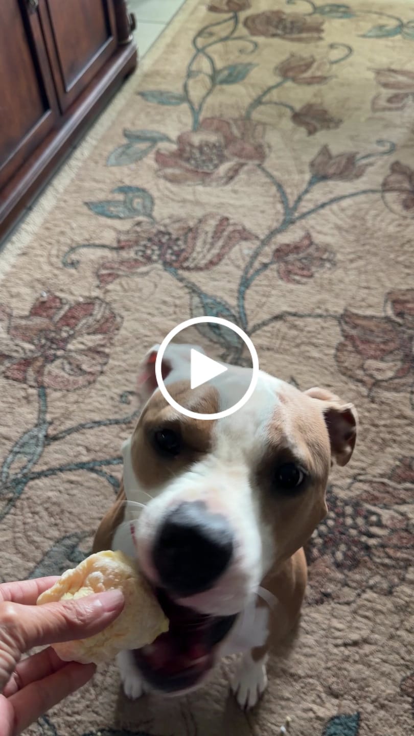 Customer video review of Banana Yak Chew — Rich in Vitamins, Potassium & Energy