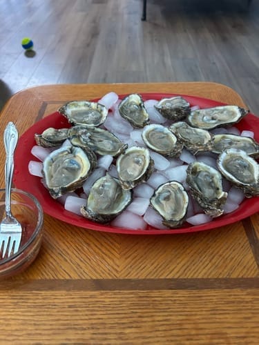 Customer photo review of The OysterClamp 2.0