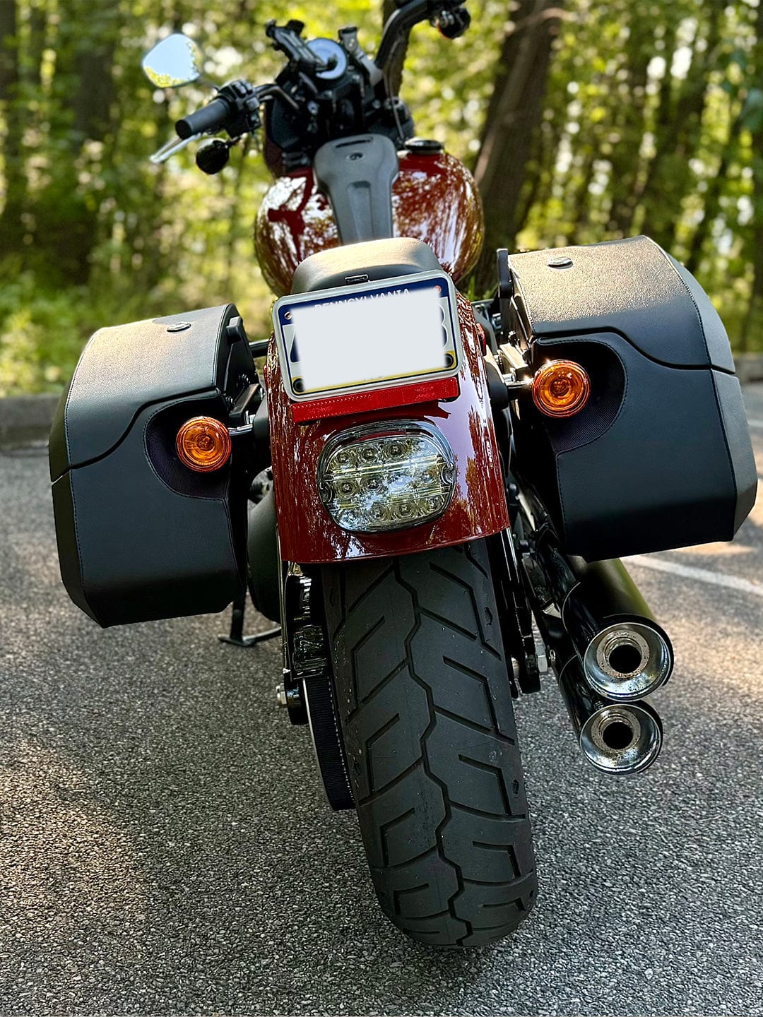 Customer photo review of 32L - Darkin Large Quick Mount Leather Wrapped Hard Saddlebags for Harley Softail Low Rider S FXLRS
