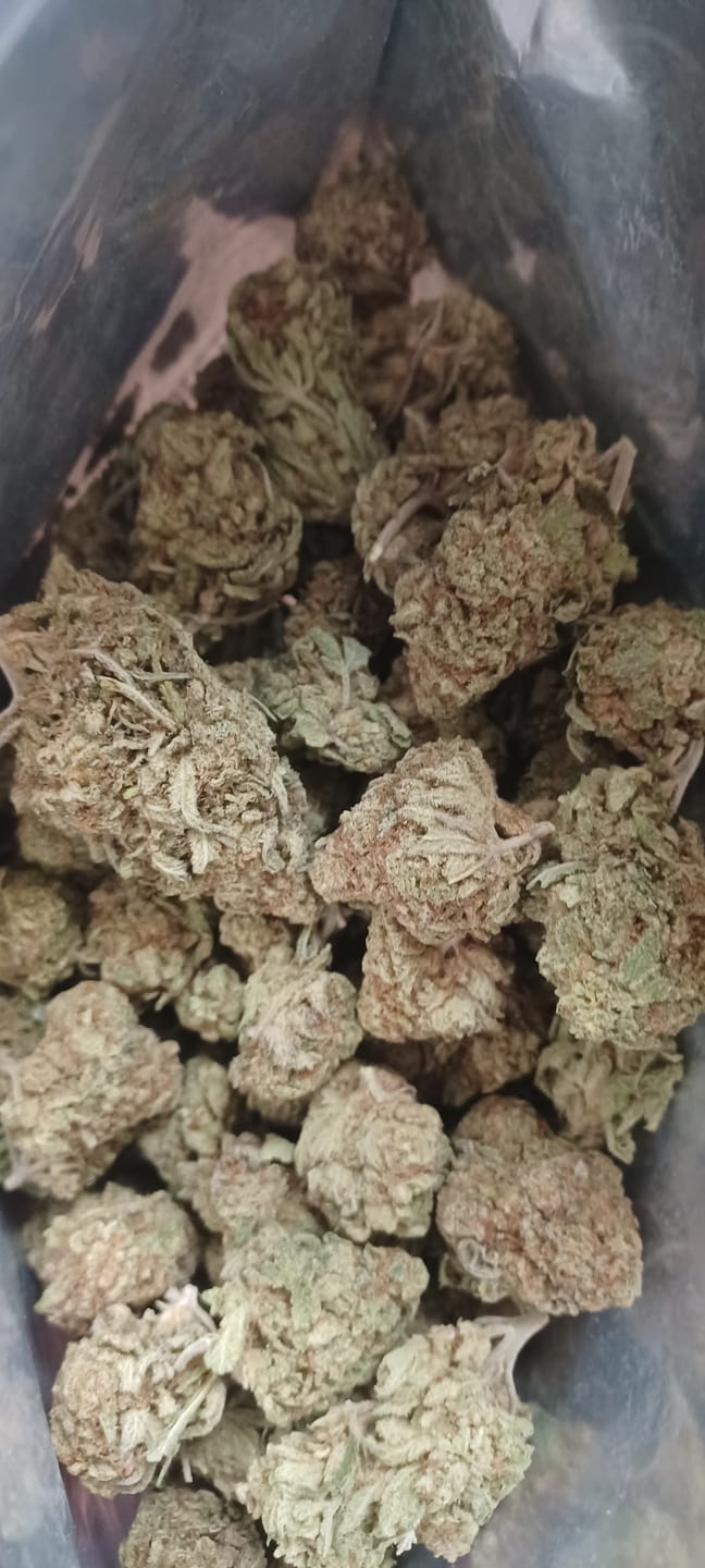 Customer photo review of Sharpiez THCA Flower