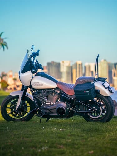 Customer photo review of 18L - Patriot Medium Motorcycle Throw Over Saddlebags for Harley Softail Low Rider S FXLRS