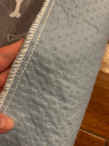 Customer photo review of Mascoly™– Tapete Lavable con Feromonas para Perros