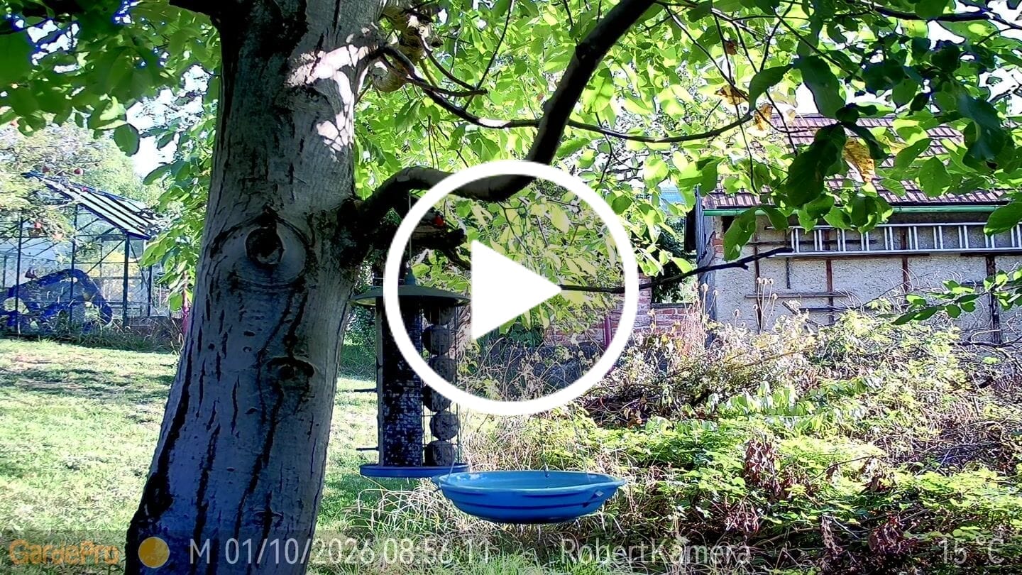 Customer video review of GardePro E8 2.0 Pro Wi-Fi Trail Camera