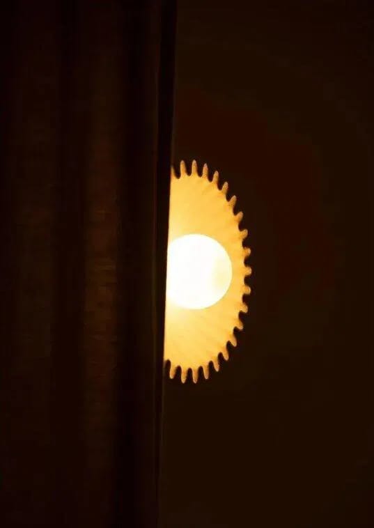 Customer photo review of Ceramic Flower Wall Sconce with Opal Globe Light