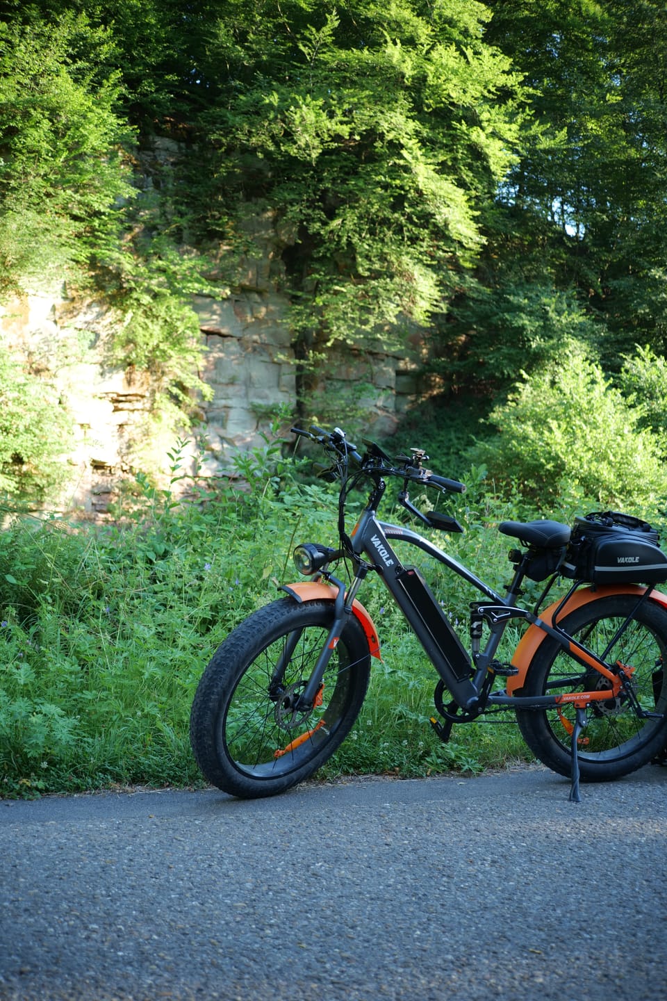Customer photo review of Vakole CO26 26" Fat Bike 816Wh Full Suspension E-Mountain Bike