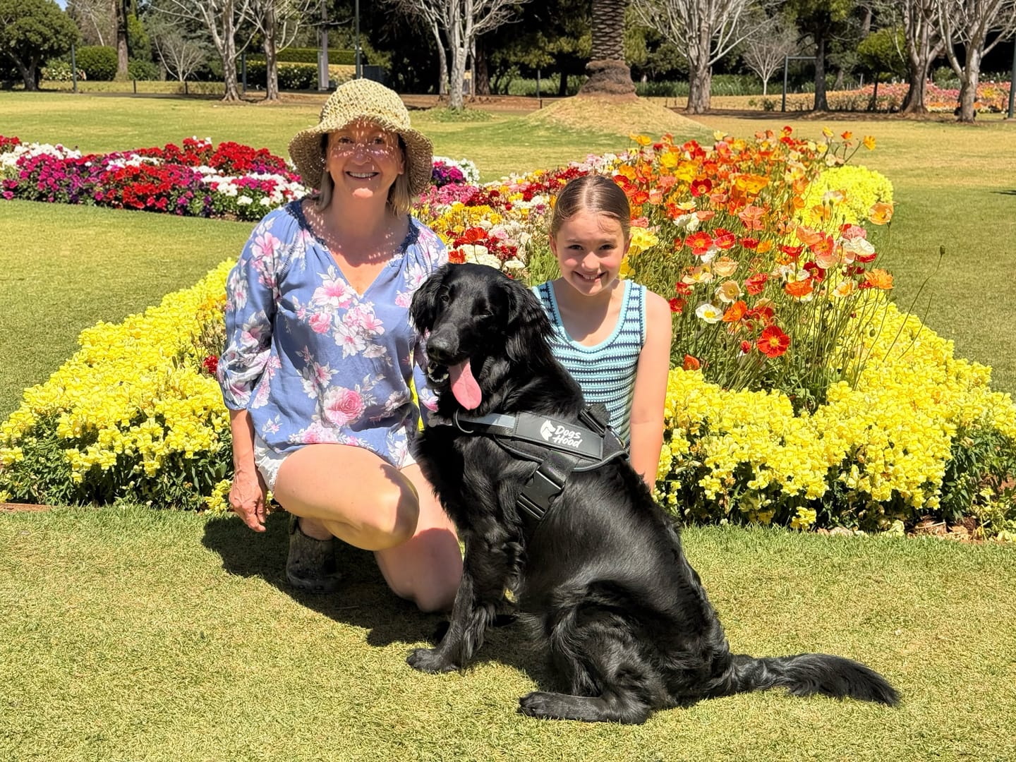 Customer photo review of SCOBYDOG No Pull Harness