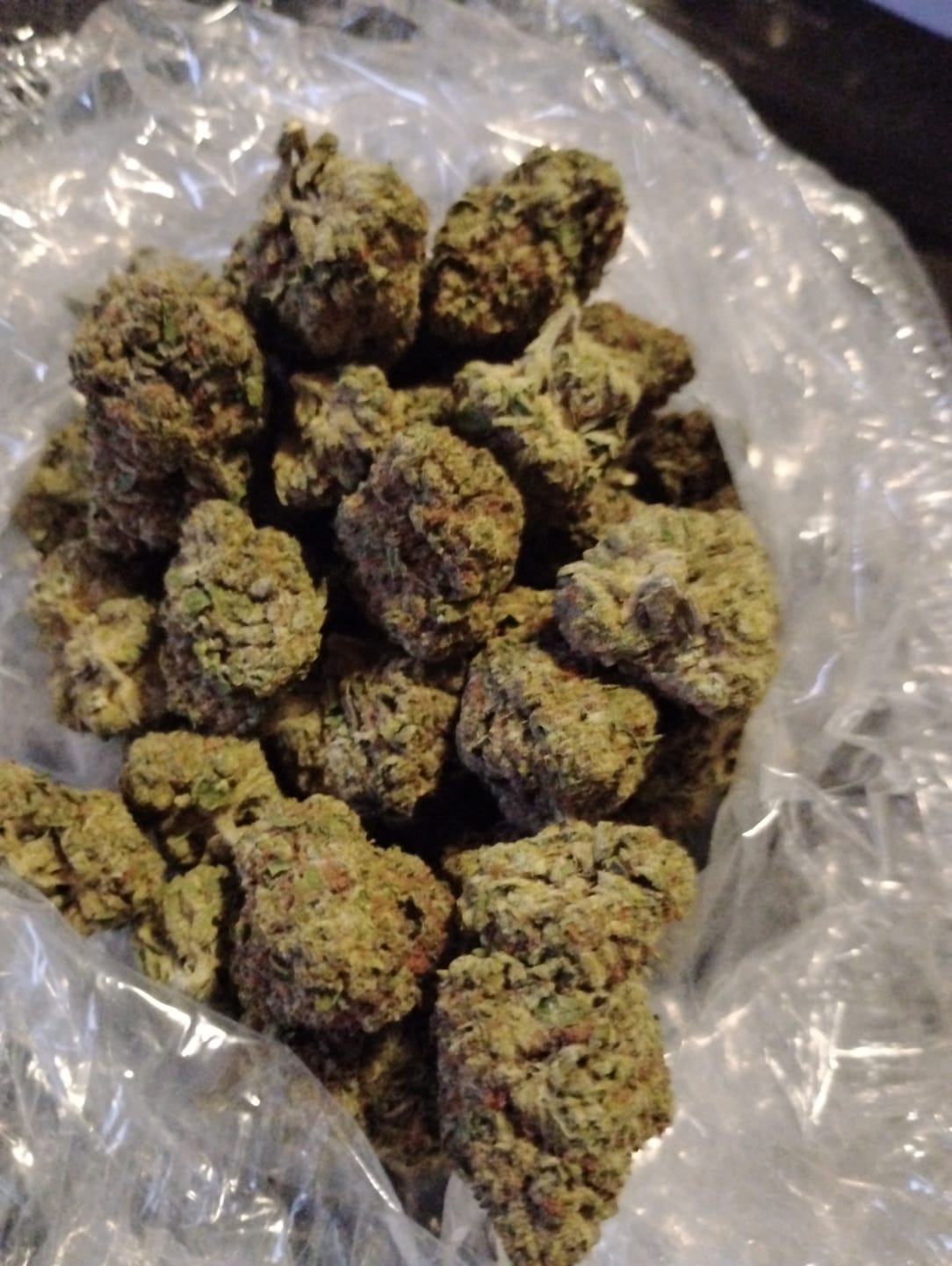 Customer photo review of Animal Mintz - Bulk - Hybrid