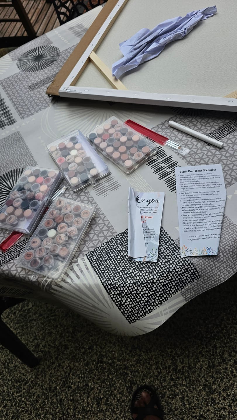 Customer photo review of Extra Paint Kit to Elevate Paint by Numbers Experience